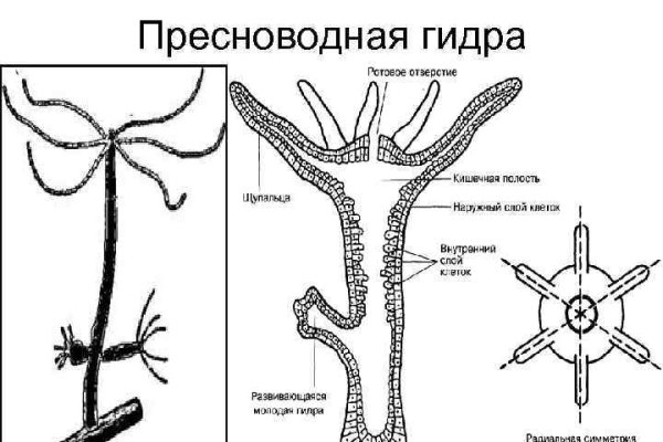 Как войти на кракен